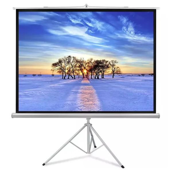 Projector Screen With Stand 120 Inch