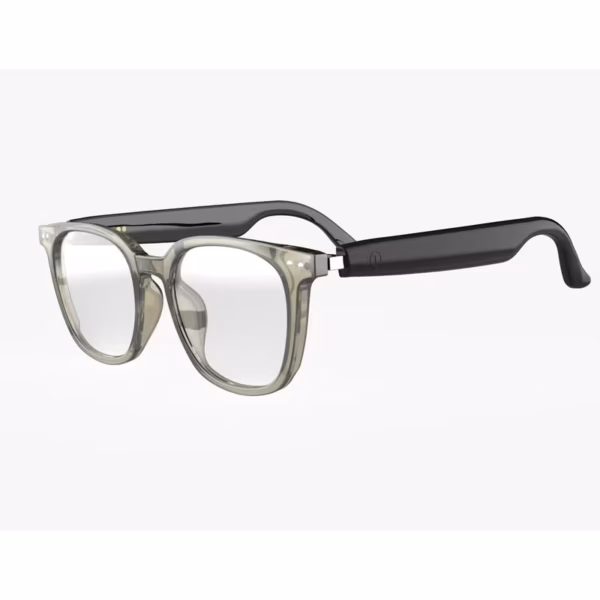 Green lion Stockholm smart glasses
