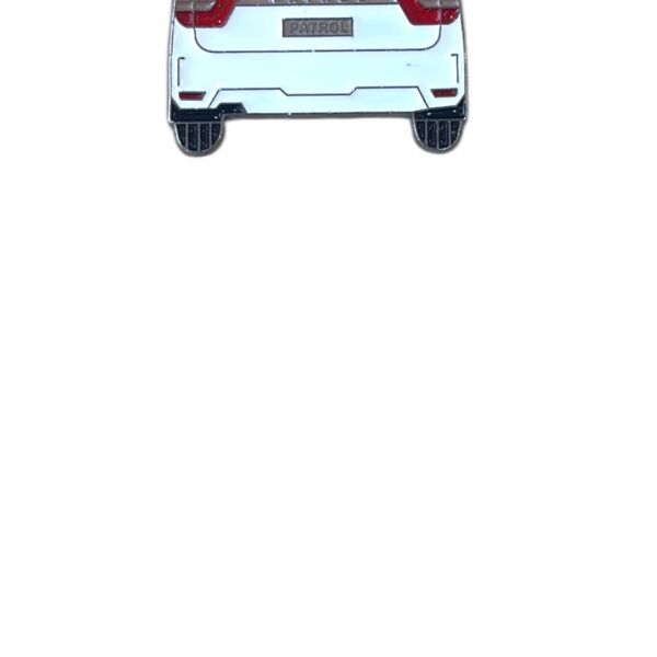 Nissan Platinum