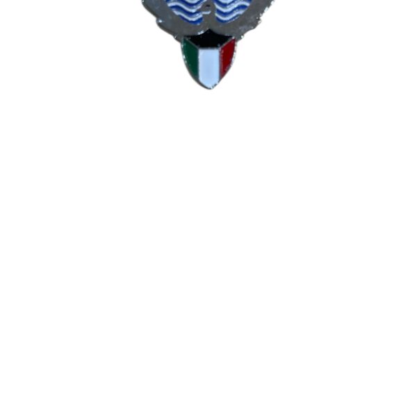 Kuwait logo