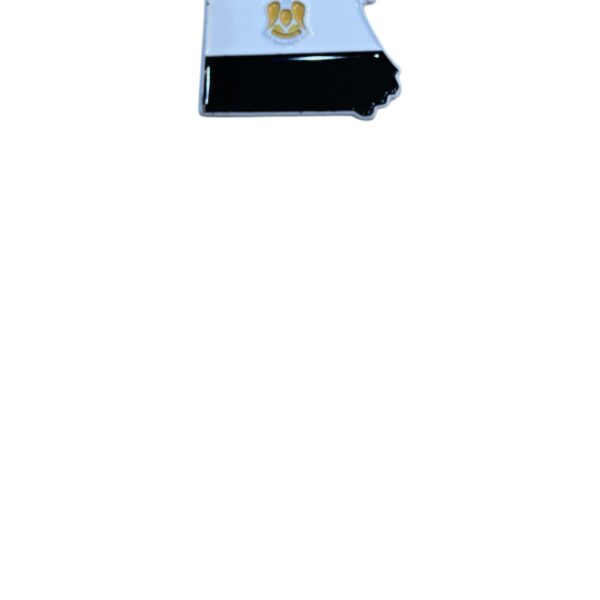 Badge Egypt