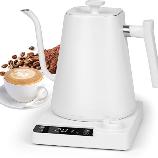 Electric Kettle Goosenec